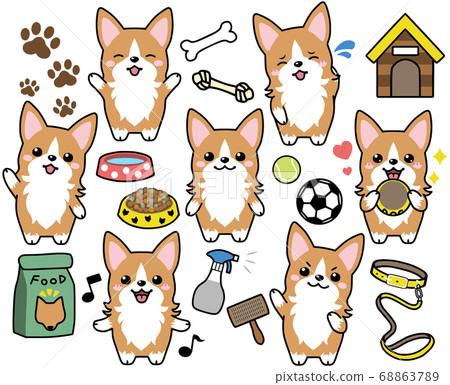 柯基犬面部表情集合 68863789
