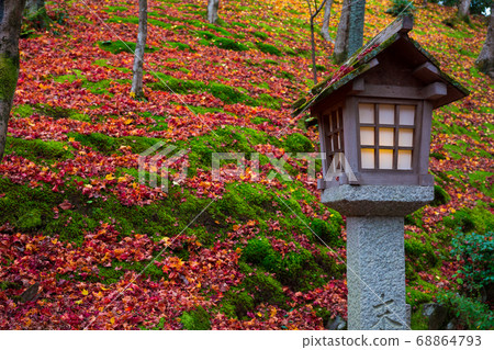 Autumn leaves of Kyoto Jonkoji temple Autumn leaves of Kyoto Jonkoji temple 68864793