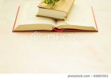 Book image and copy space Book image and copy space 68865001