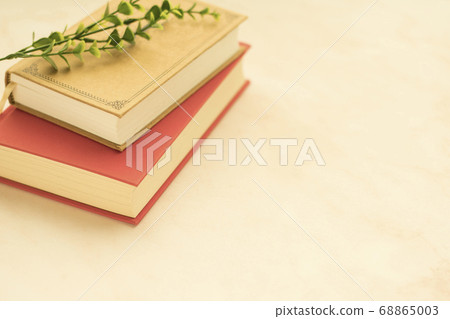 Book image and copy space 68865003