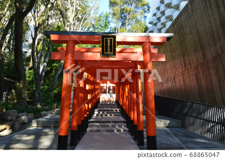 鳥居隧道 兵庫縣神戶市稻荷神社 生田神社地 中央區 照片素材 圖片 圖庫