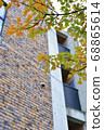 Maple that begins to change colors in the coming autumn 68865614