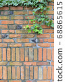 Vine and brick 68865615
