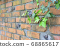 Vine and brick 68865617
