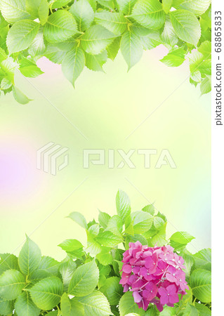 Fresh Hydrangea Flower Background Image 68865833