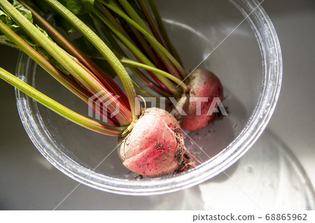 Freshly picked vegetables radishes 68865962