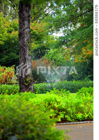 滋賀縣草津市水之森公園的風景，花卉和植物[8月] 68866376