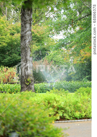 滋賀縣草津市水之森公園的風景，花卉和植物[8月] 68866378
