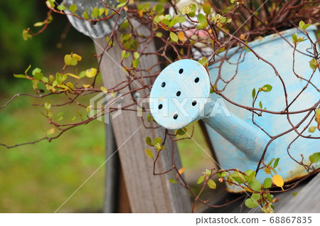 Gardening watering can Gardening watering can 68867835