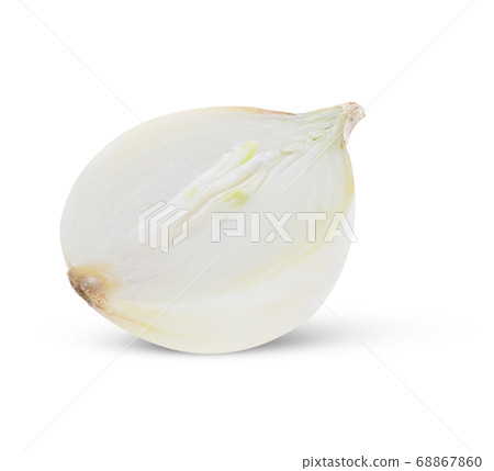 white onion on white background. white onion on white background. 68867860