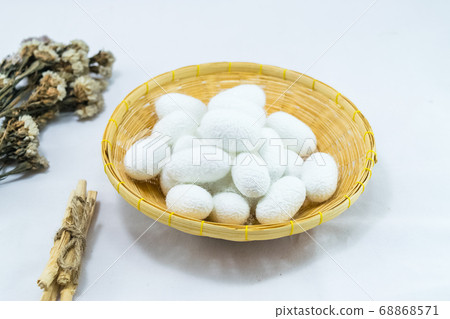 white silk cocoon white silk cocoon 68868571