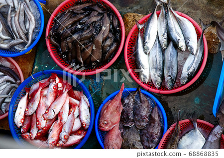 All kinds of fish in the fish market are placed in baskets 68868835