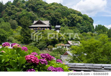 Temple of Hydrangea 68868889