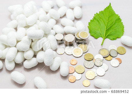 white silk cocoon white silk cocoon 68869452
