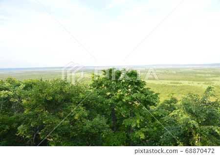 Kushiro Marsh (Kushiro Marsh Observatory / Hokuto, Kushiro City, Hokkaido) 68870472