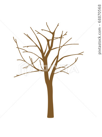 Leafless trees 68870568