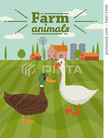 Duck and goose are farm animals. Rural landscape background. Vector illustration cartoon style 68871400