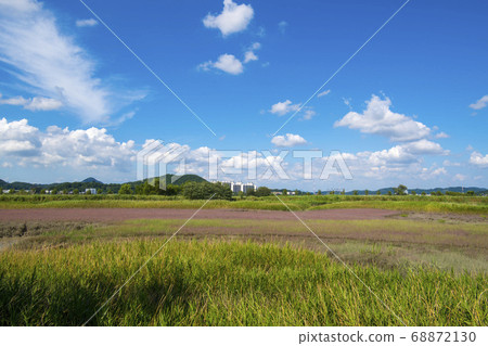 Siheung Tidal-Ecological Park, Siheung City, Gyeonggi-do 68872130