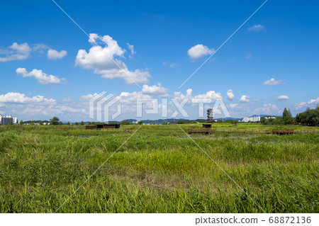 Siheung Tidal-Ecological Park, Siheung City, Gyeonggi-do Siheung Tidal-Ecological Park, Siheung City, Gyeonggi-do 68872136