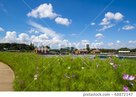Siheung Tidal-Ecological Park, Siheung City, Gyeonggi-do 68872147
