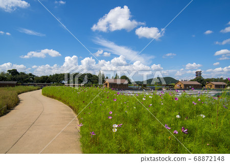 Siheung Tidal-Ecological Park, Siheung City, Gyeonggi-do 68872148