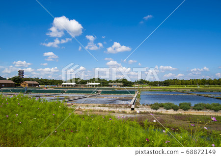 Siheung Tidal-Ecological Park, Siheung City, Gyeonggi-do 68872149