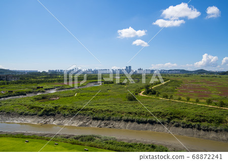 京畿道始興市始興潮汐生態園 京畿道始興市始興潮汐生態園 68872241