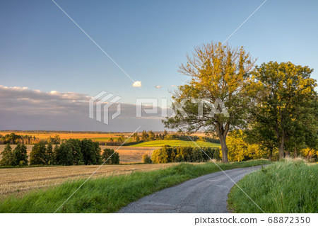 Summer landscape Vysocina Czech Republic 68872350