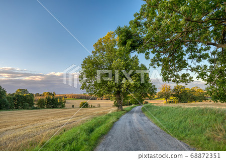 Summer landscape Vysocina Czech Republic 68872351