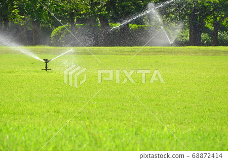 Lawn in watering (at Osaka Castle Nishinomaru Garden) Lawn in watering (at Osaka Castle Nishinomaru Garden) 68872414