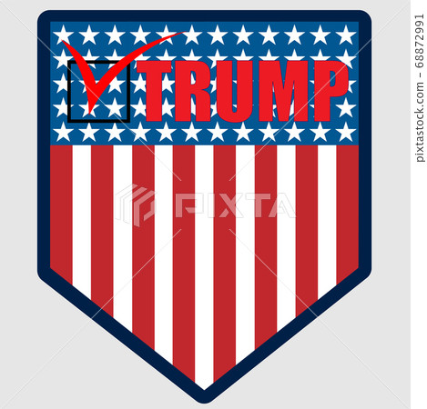 Vote 2020 in USA, banner design. American Vote 2020 in USA, banner design. American 68872991