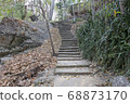Walkway stone path in forest  by vegetation 68873170