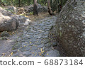 Walkway stone path in forest  by vegetation 68873184