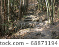 Walkway stone path in forest  by vegetation 68873194