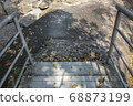 Walkway stone path in forest  by vegetation 68873199
