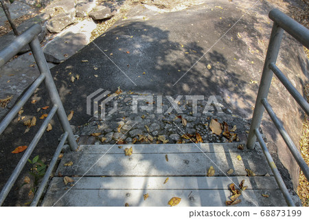 Walkway stone path in forest  by vegetation 68873199