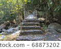 Walkway stone path in forest  by vegetation 68873202