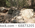 Walkway stone path in forest  by vegetation 68873205