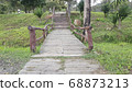 Walkway stone path in forest  by vegetation 68873213