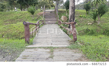 Walkway stone path in forest  by vegetation 68873213