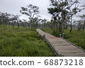 Walkway stone path in forest  by vegetation 68873218