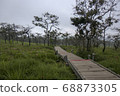 Walkway stone path in forest  by vegetation 68873305
