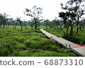 Walkway stone path in forest  by vegetation 68873310