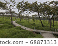 Walkway stone path in forest  by vegetation 68873313