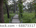 Walkway stone path in forest  by vegetation 68873317
