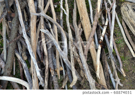 Firewood for bonfire of driftwood on the coast Firewood for bonfire of driftwood on the coast 68874031