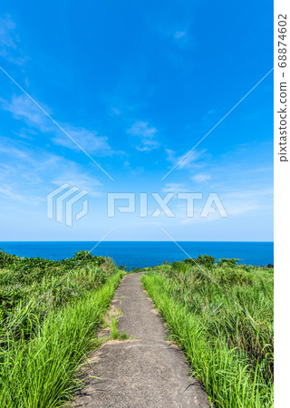 Road leading to the sea Summer image Refreshing blue sky Road leading to the sea Summer image Refreshing blue sky 68874602