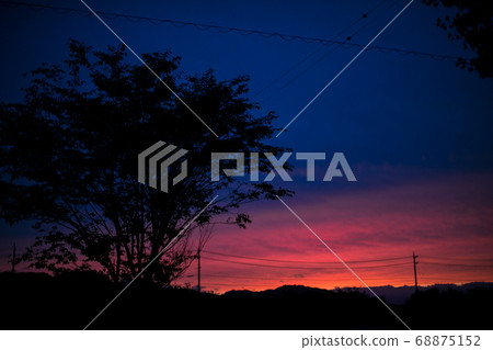 Sunset trees silhouette 68875152