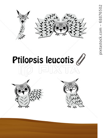 Owl stylish Konohazuku's illustration set (postcard) vector Owl stylish Konohazuku's illustration set (postcard) vector 68876502