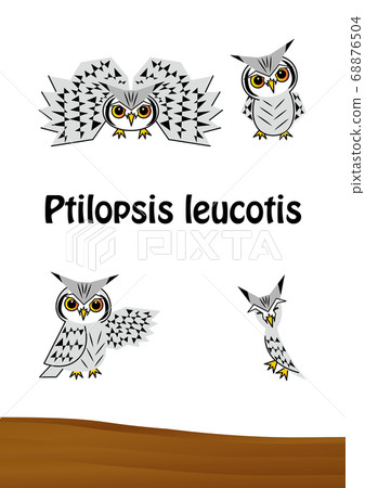 貓頭鷹時尚Konohazuku的插圖集（明信片）矢量 68876504